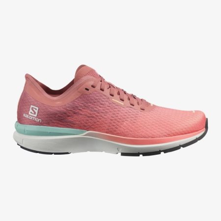 Salomon SONIC 4 Accelerate Womens Running Shoes Orange UK YRHZ